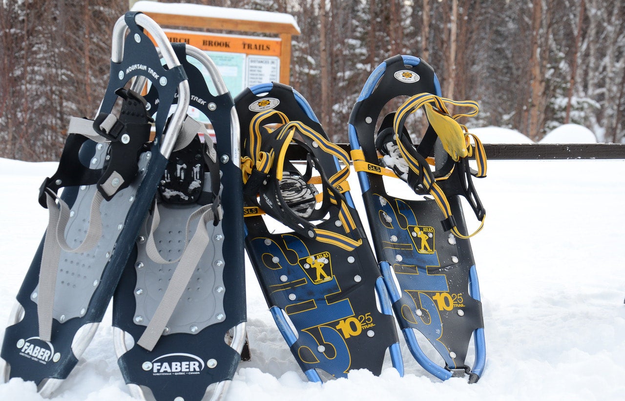 Adult Snowshoe Trail Pass Birch Brook Nordic Ski Club